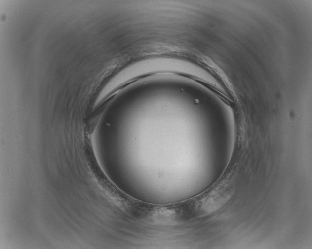 X0000058830257200510031354