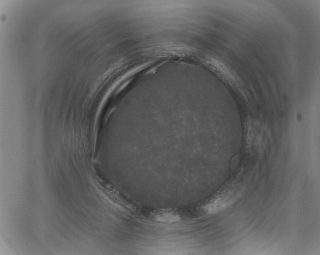 X0000058830258200510031354