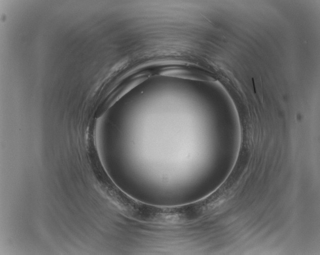 X0000058830260200510031354