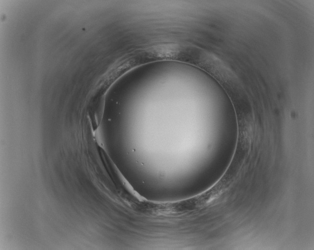 X0000058830262200510031354