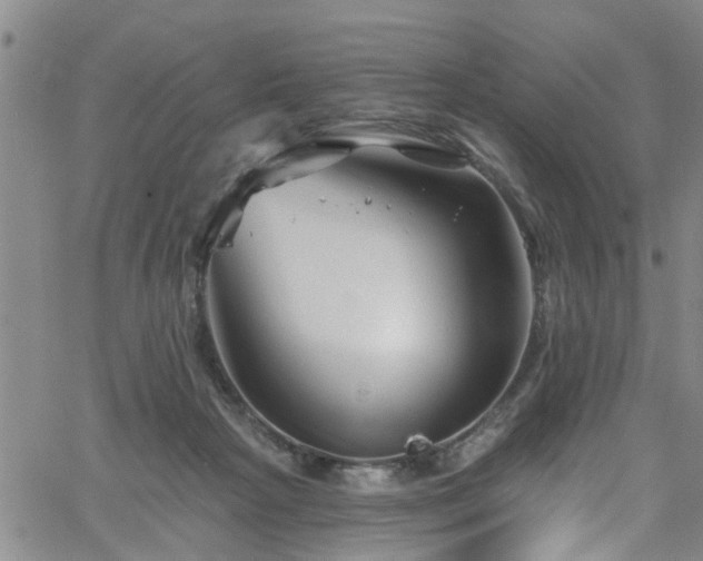 X0000058830265200510031354