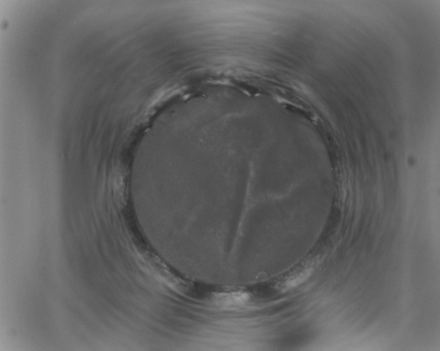 X0000058830266200510031354