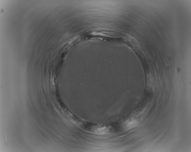 X0000058830267200510031354