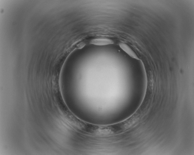 X0000058830270200510031354