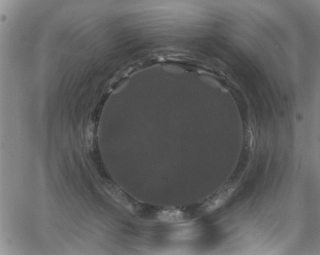 X0000058830271200510031354