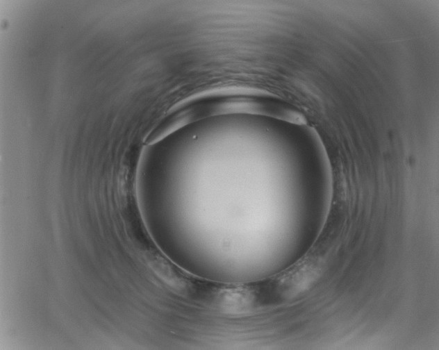 X0000058830275200510031354