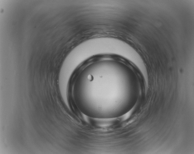 X0000058830277200510031354