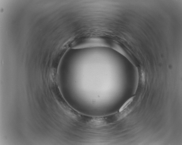 X0000058830280200510031354