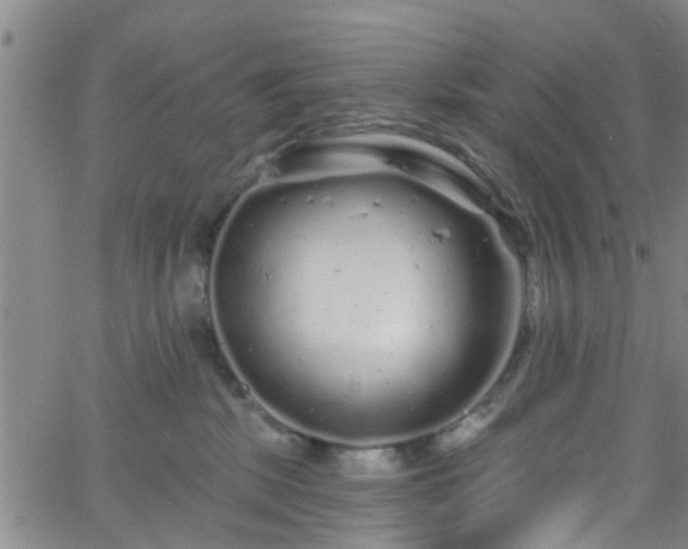 X0000058830281200510031354