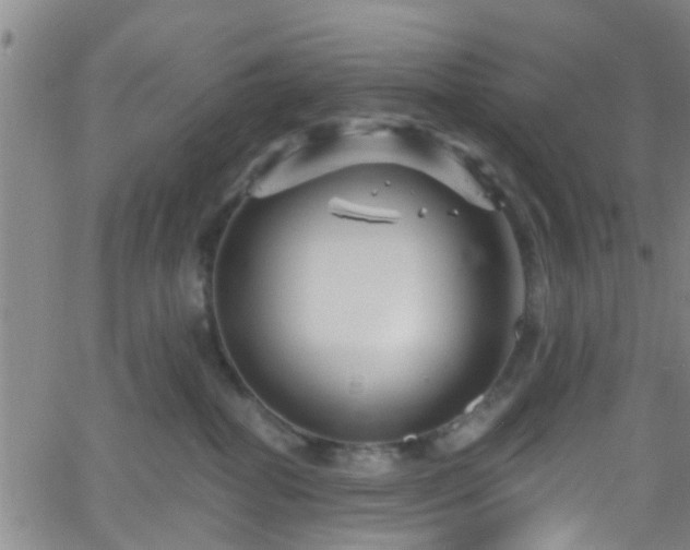 X0000058830282200510031354