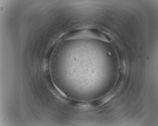 X0000058830284200510031354