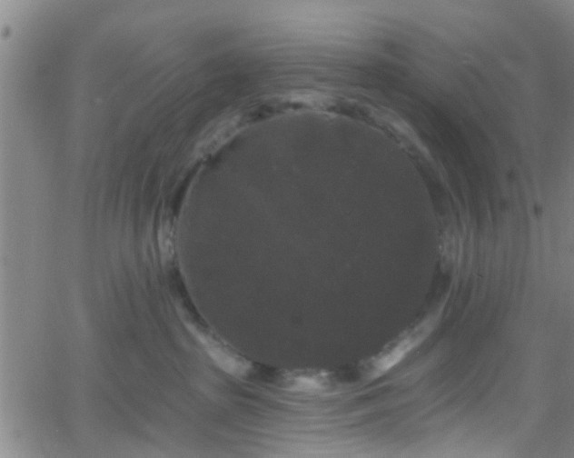 X0000058830285200510031354