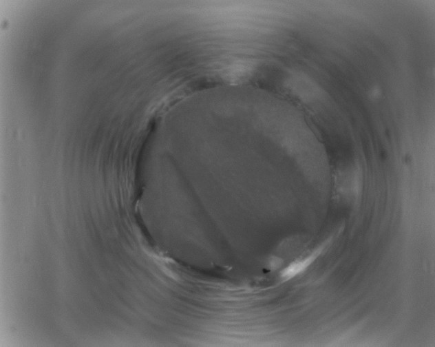 X0000058830286200510031355