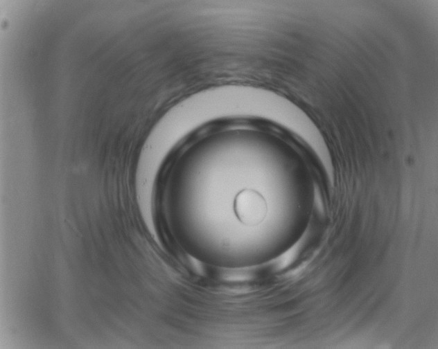 X0000058830287200510031355