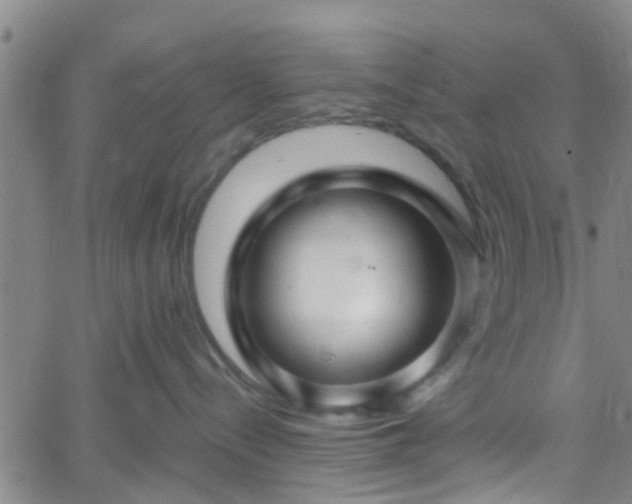 X0000058830288200510031355