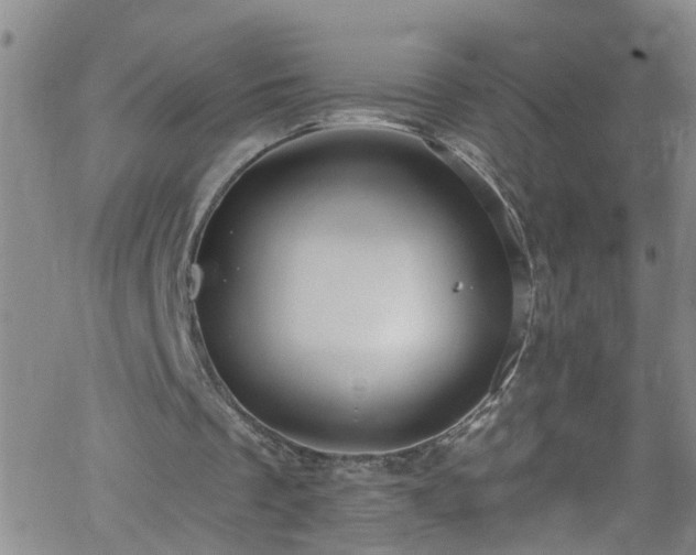 X0000058830289200510031354