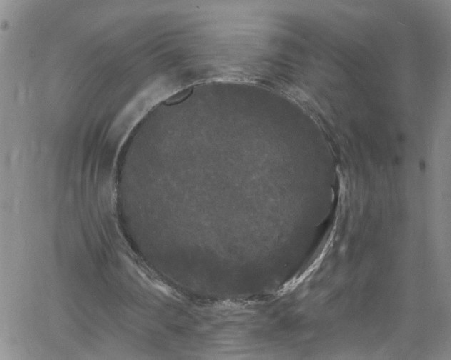 X0000058830290200510031354