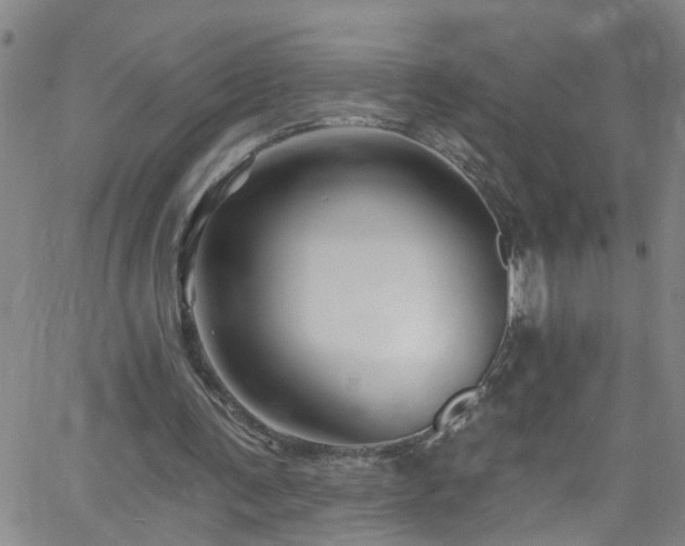 X0000058830291200510031354