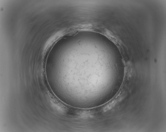 X0000058830293200510031354