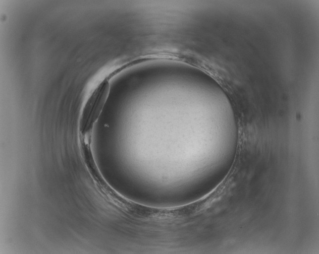 X0000058830294200510031354