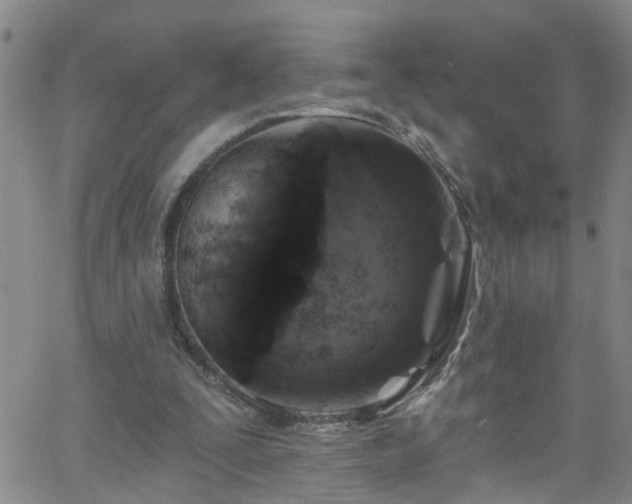 X0000058830295200510031354