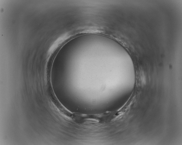 X0000058830296200510031354