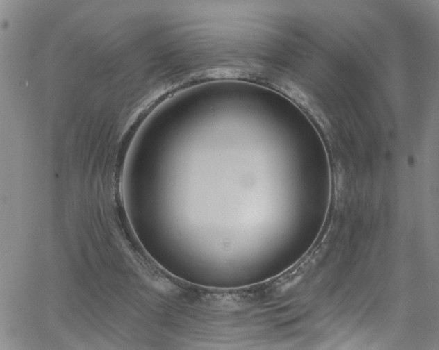 X0000058830297200510031354