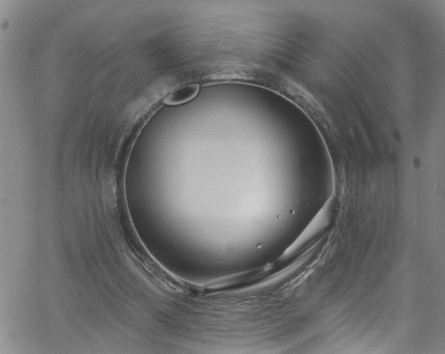 X0000058830298200510031354