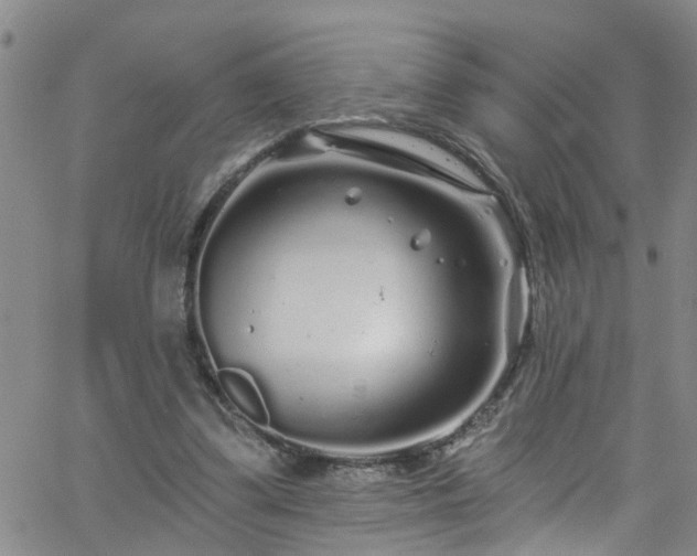 X0000058830299200510031354