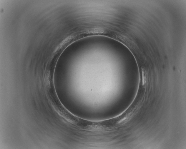 X0000058830300200510031354