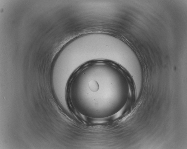 X0000058830301200510031354