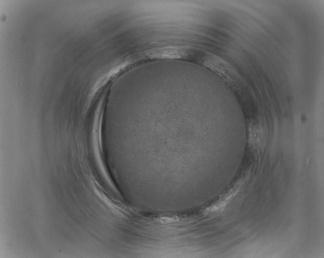 X0000058830302200510031354