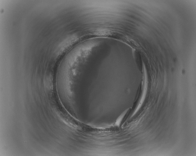 X0000058830303200510031354