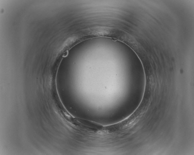 X0000058830304200510031354