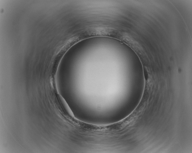 X0000058830306200510031353