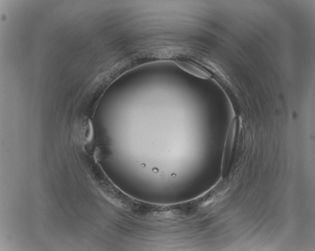 X0000058830307200510031353