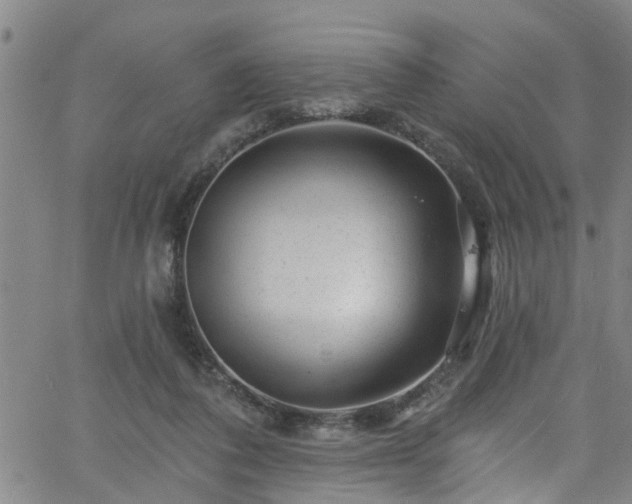 X0000058830308200510031353