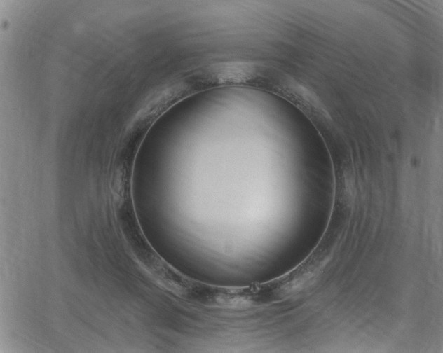 X0000058830311200510031353