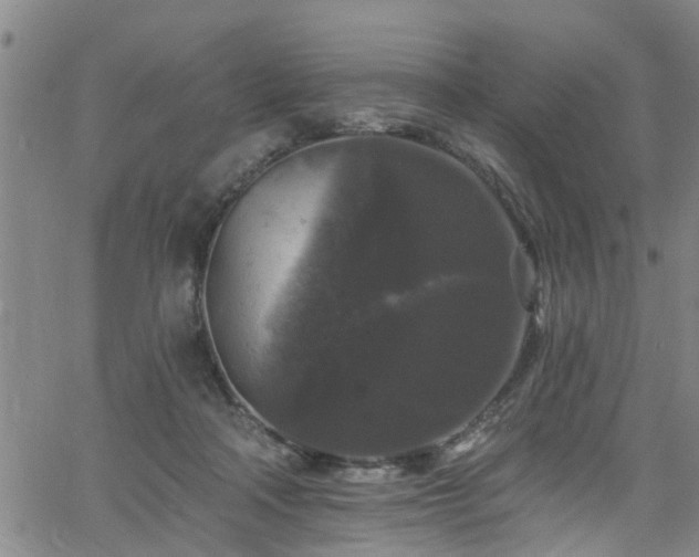 X0000058830314200510031353