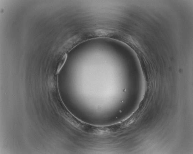 X0000058830317200510031353