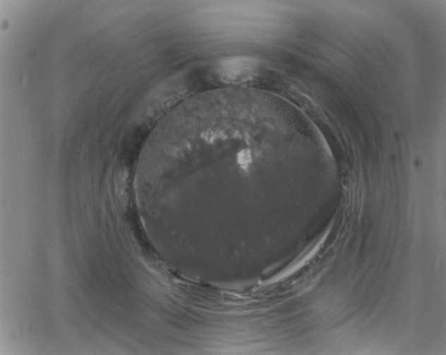 X0000058830319200510031353