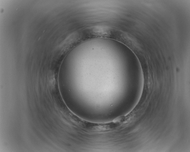 X0000058830320200510031353