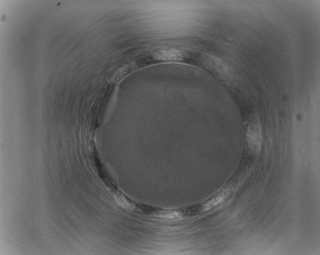 X0000058830322200510031353