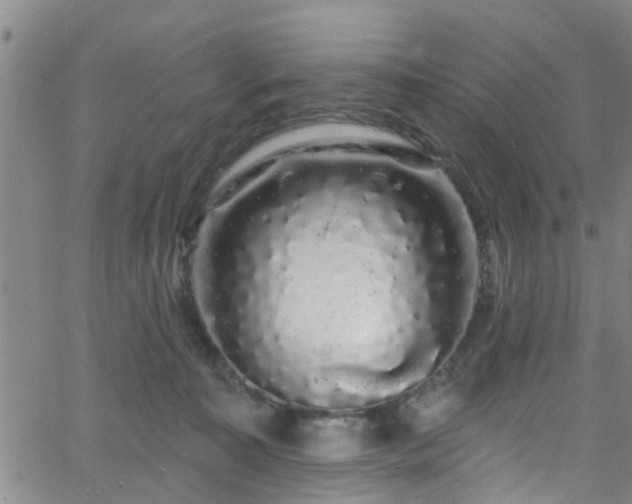 X0000058830323200510031353