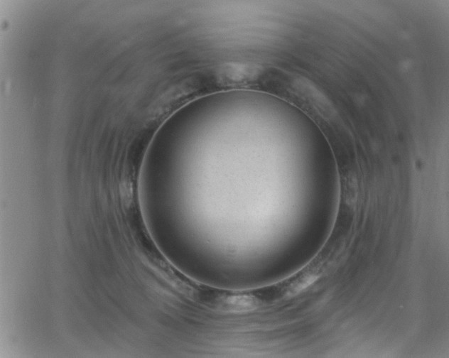 X0000058830324200510031353