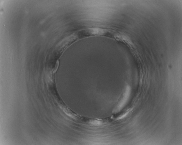 X0000058830325200510031353