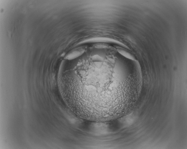 X0000058830327200510031353