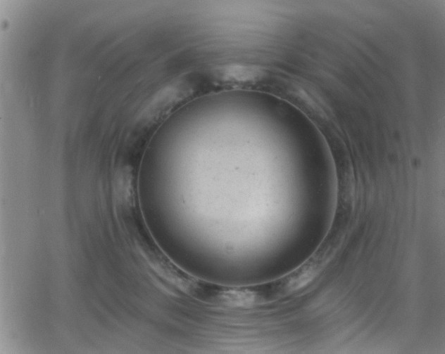 X0000058830328200510031353