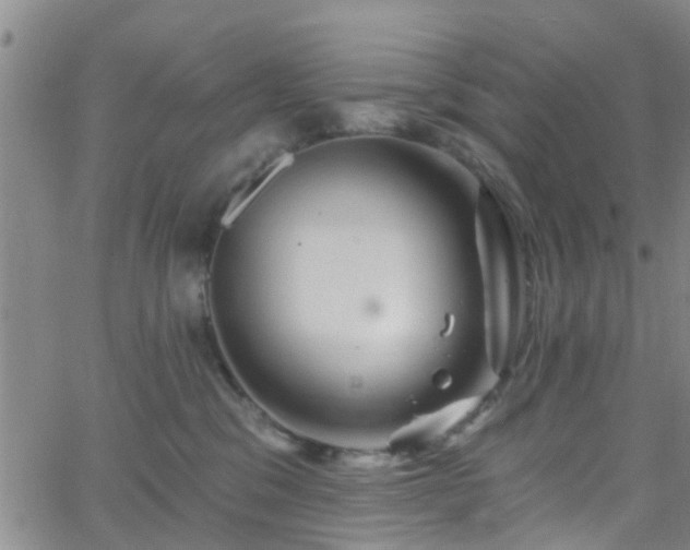 X0000058830329200510031353