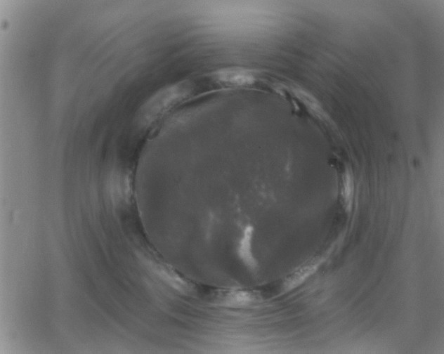 X0000058830330200510031353